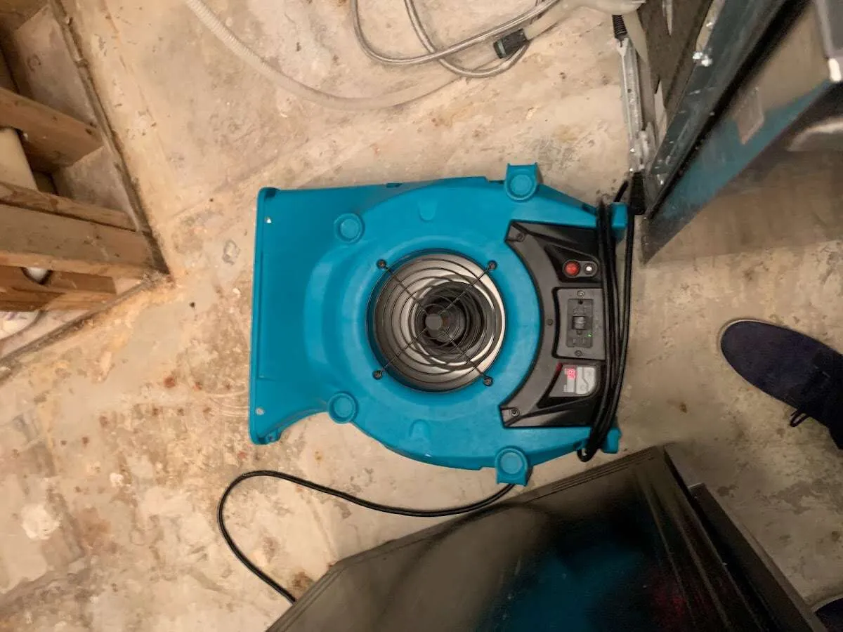 Air mover drying equipment for Mold Remediation & Removal in Blooming Grove